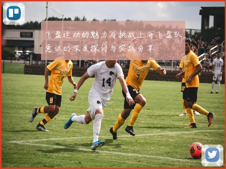 飞盘运动的魅力与挑战上海飞盘队意识的深度探讨与实践分享