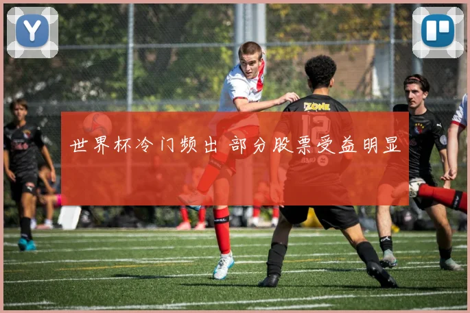 世界杯冷门频出 部分股票受益明显