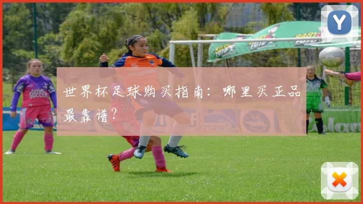 世界杯足球购买指南：哪里买正品最靠谱？