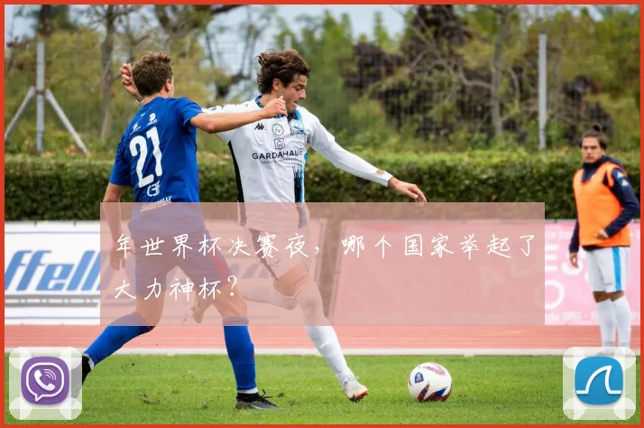 年世界杯决赛夜，哪个国家举起了大力神杯？