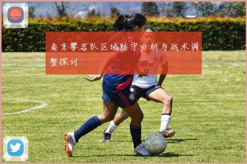 南京攀岩队区域防守分析与战术调整探讨