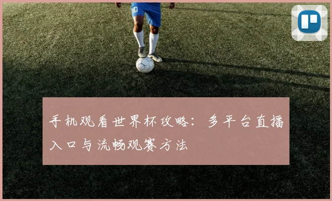 手机观看世界杯攻略：多平台直播入口与流畅观赛方法