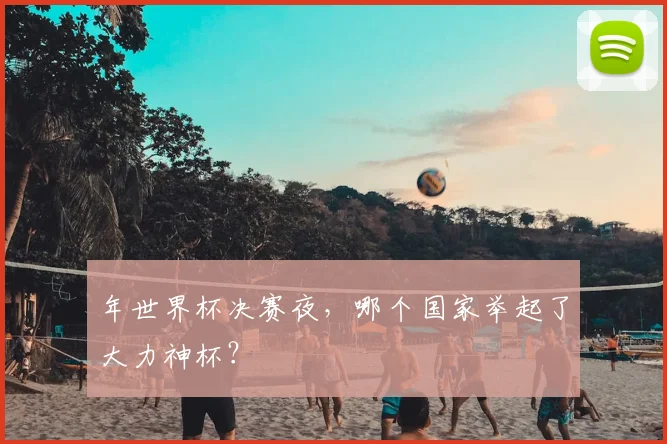 年世界杯决赛夜，哪个国家举起了大力神杯？
